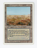 Scrubland — ID 16515