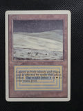 Tundra — ID 17629