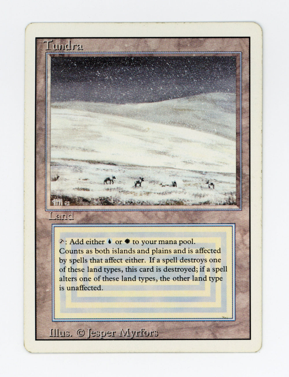 Tundra — ID 17095