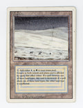 Tundra — ID 17408