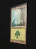 Forest - Guru