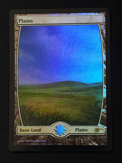 Plains