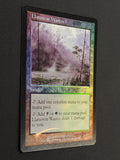 Llanowar Wastes