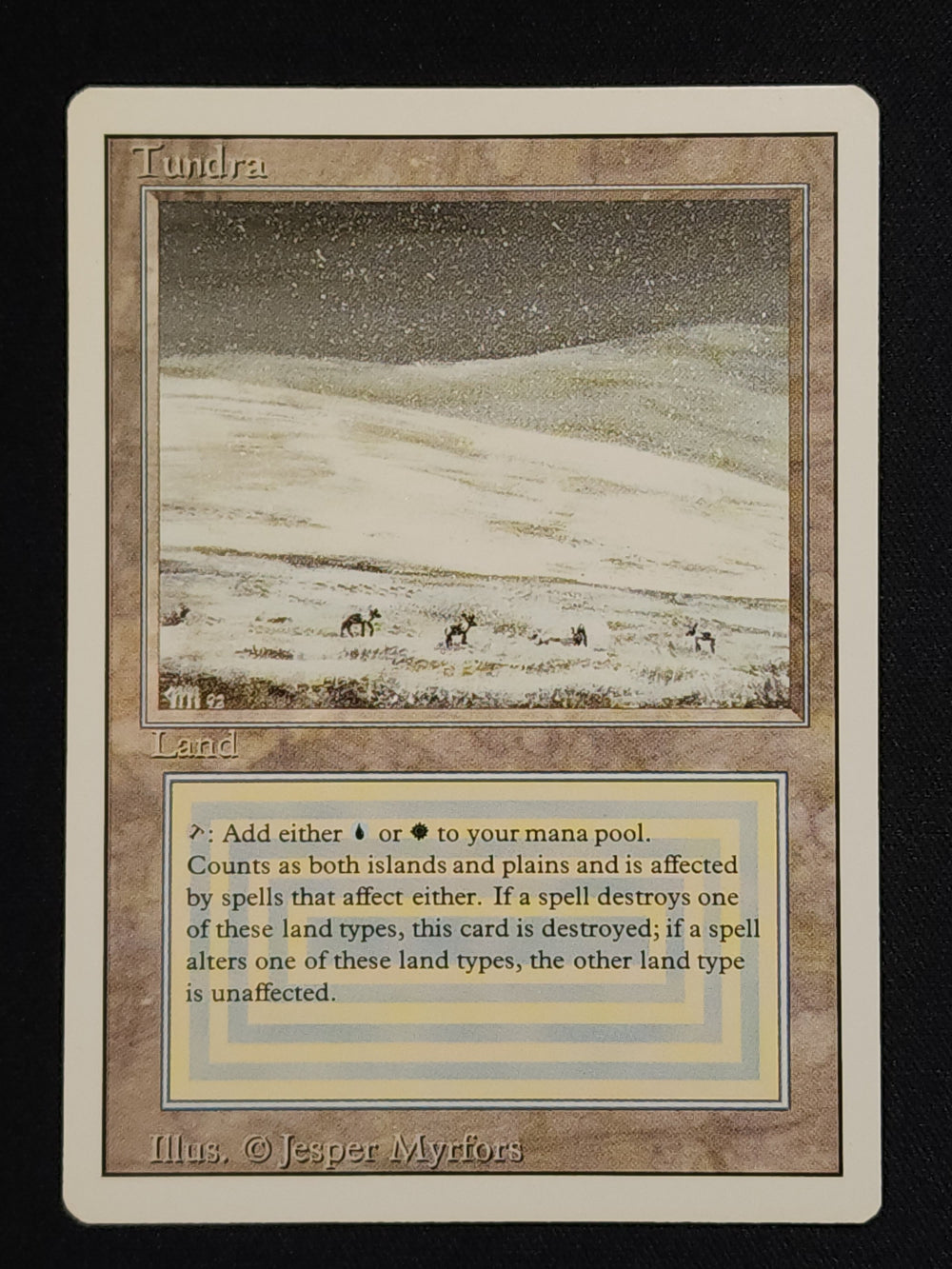 Tundra