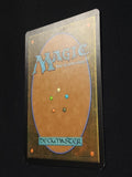 Mogg Fanatic