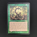 [FOIL] Oath of Druids - Judge Rewards Promos - English - GD