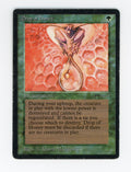 Drop of Honey — ID 17828