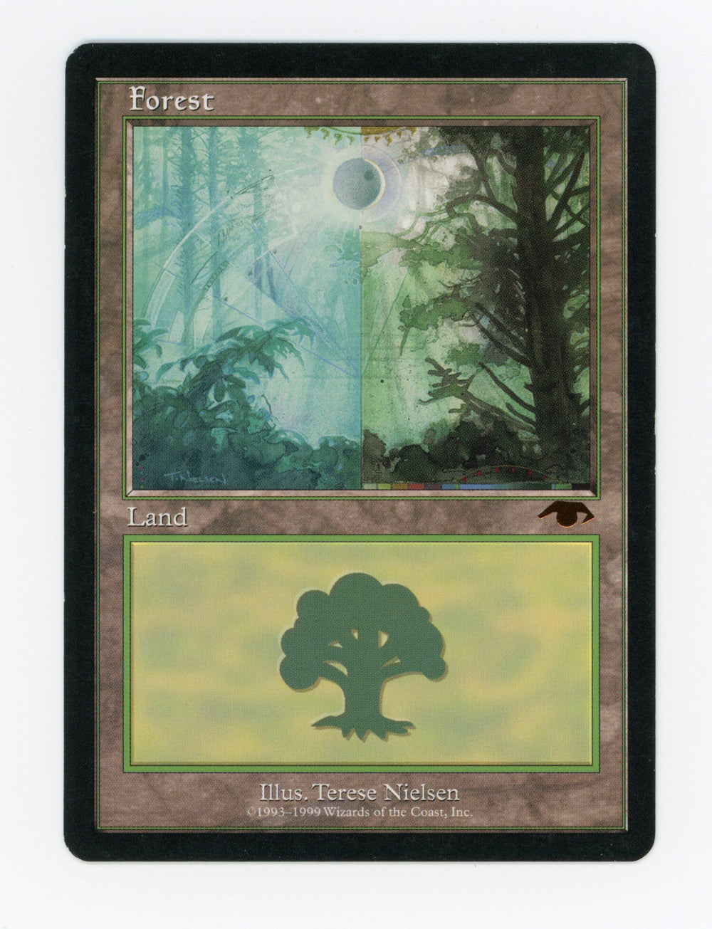 Forest — ID 17637