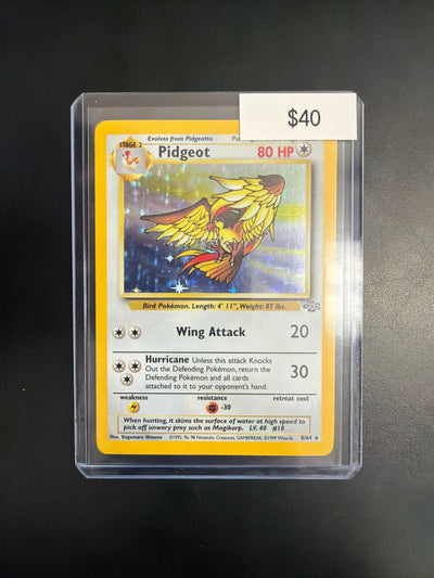 Pokemon Pidgeot Jungle #8/64 NM