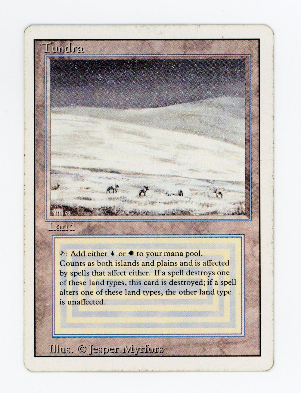 Tundra — ID 17406
