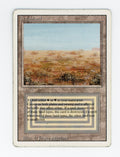 Scrubland — ID 17521