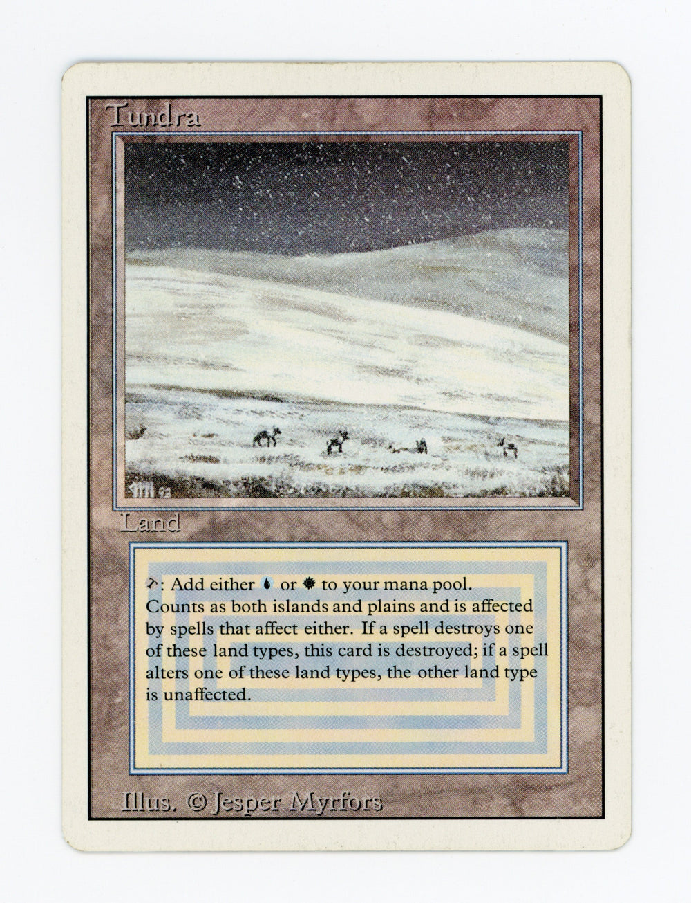 Tundra — ID 17093