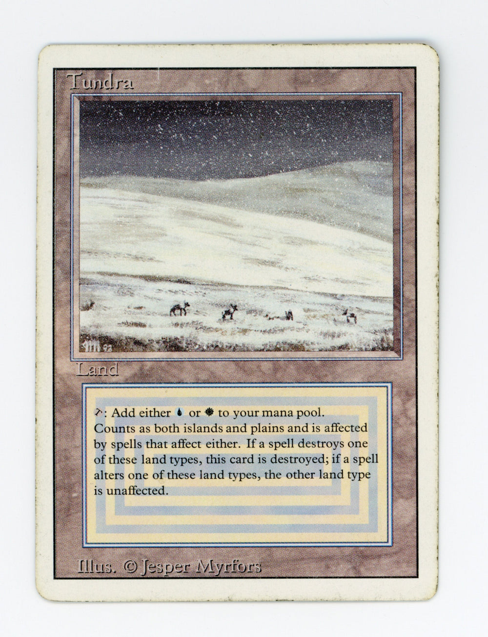 Tundra — ID 17627