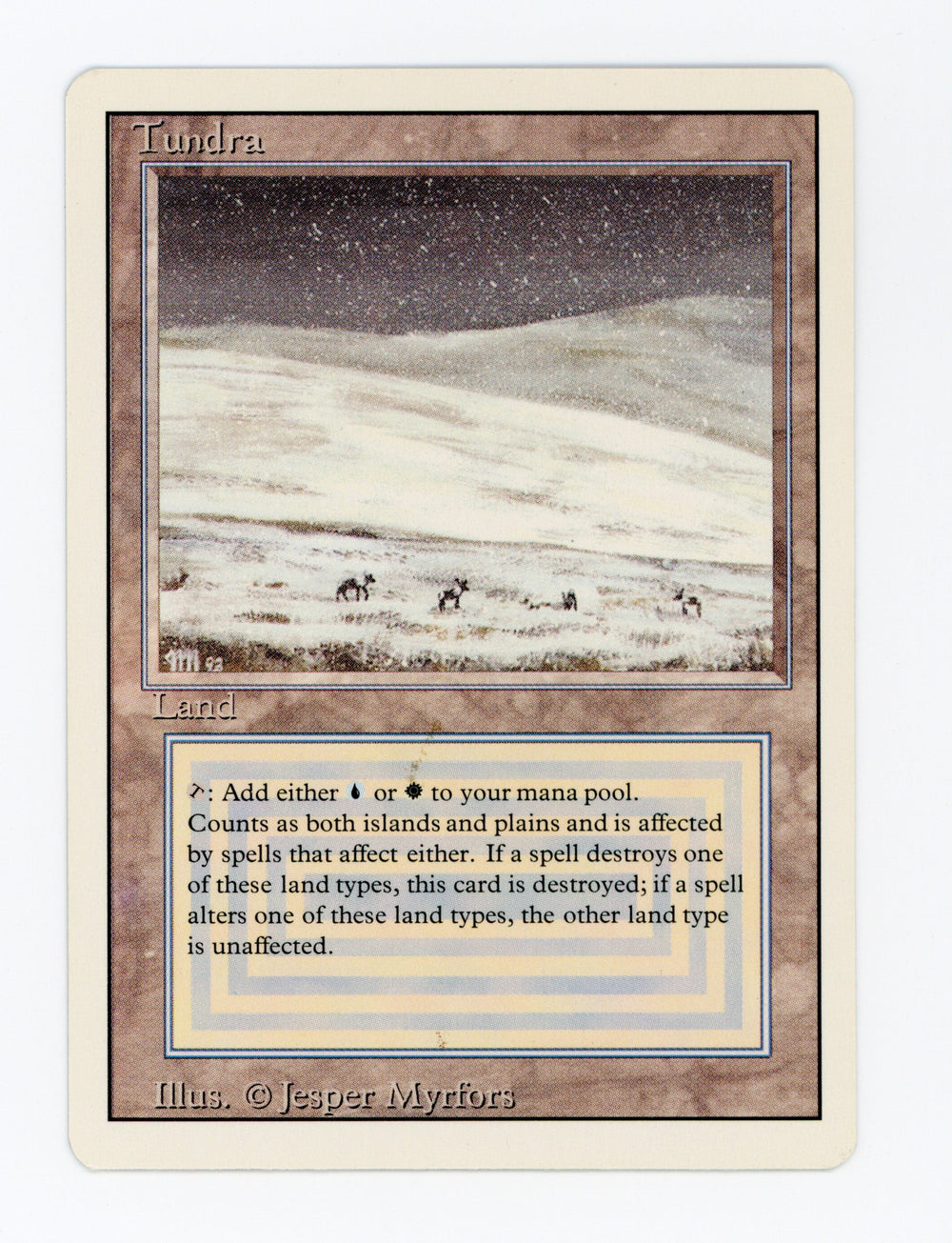 Tundra — ID 17407