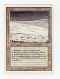 Tundra — ID 17407