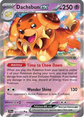 Dachsbun Ex 67 Sv07 Stellar Crown Holofoil