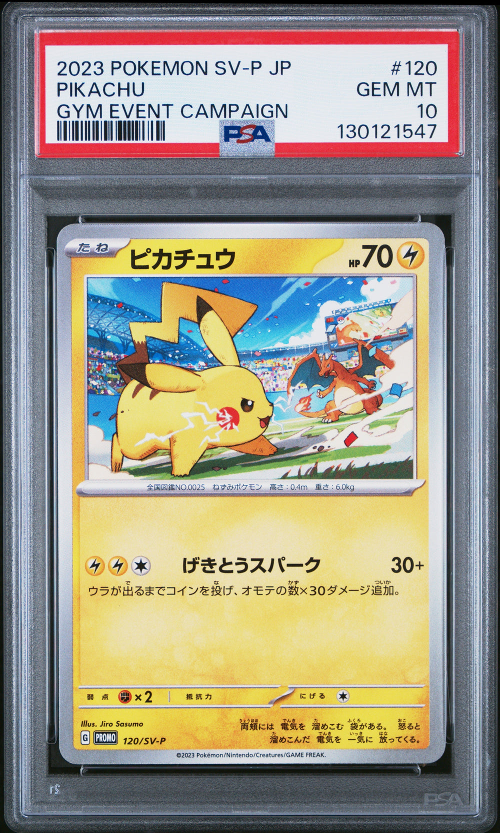 Pikachu Gym Event Campaign PSA 10 2023 Pokemon Japanese Sv-P Promo #120