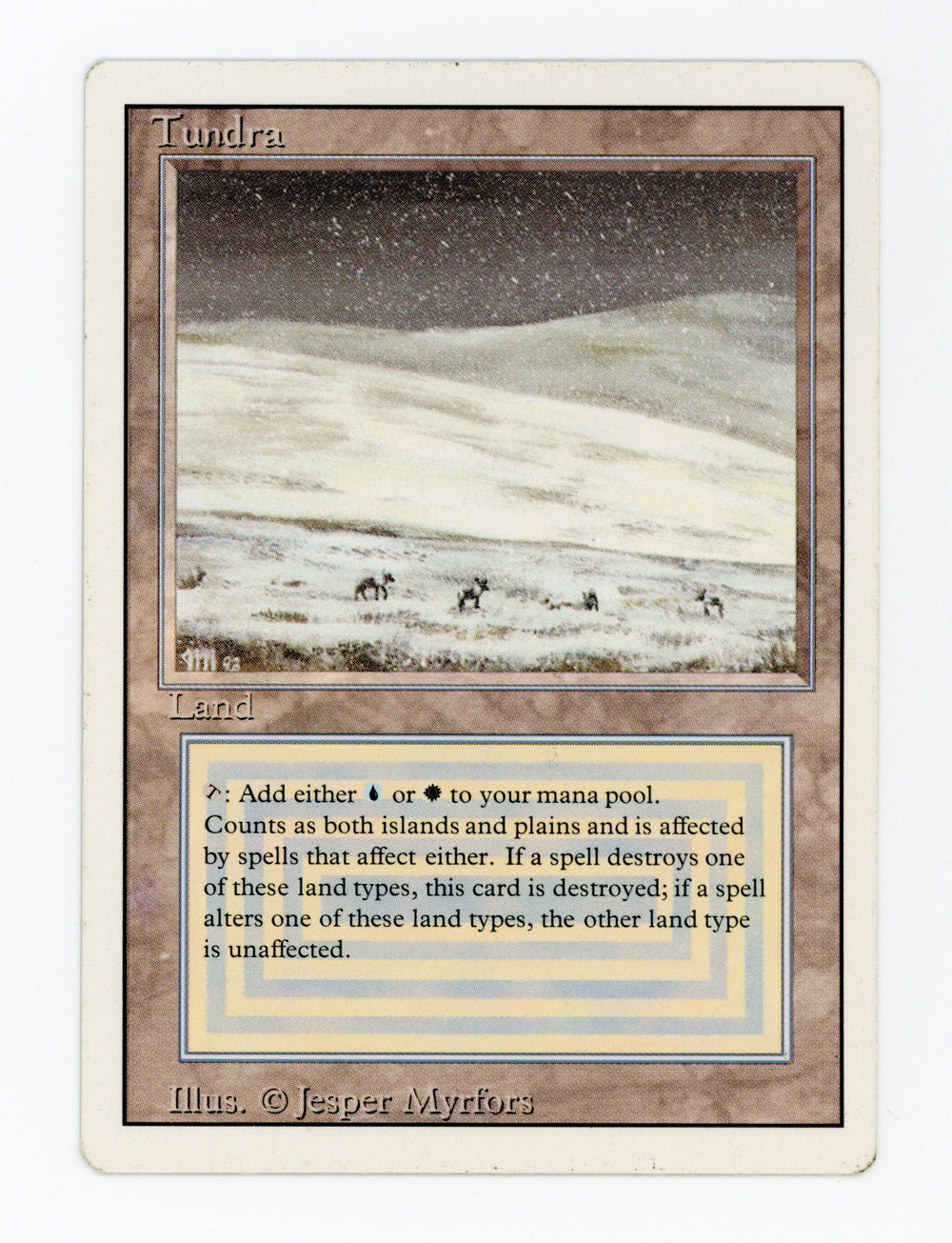 Tundra — ID 17094
