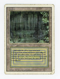 Bayou — Damaged — ID 17081