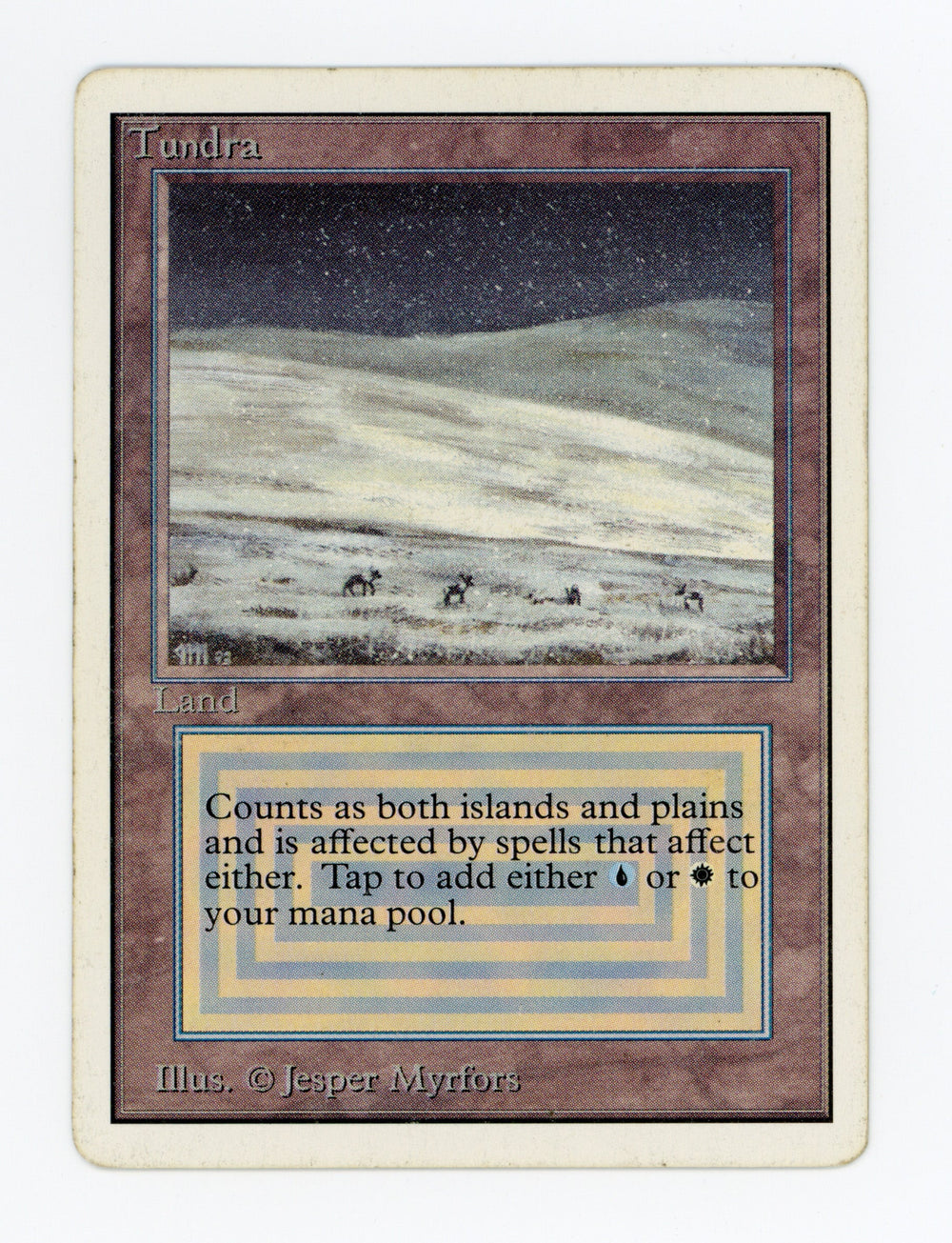 Tundra — ID 17629