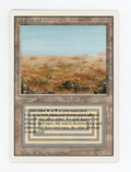 Scrubland — ID 17394