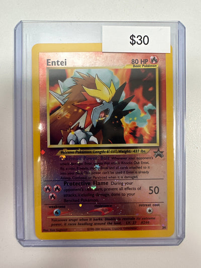 Pokemon Entei 34