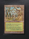 Gaea's Cradle — ID 17359