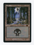 Swamp — ID 17616