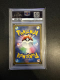 Pokemon: Pikachu ex - Special Art Rare - Japanese