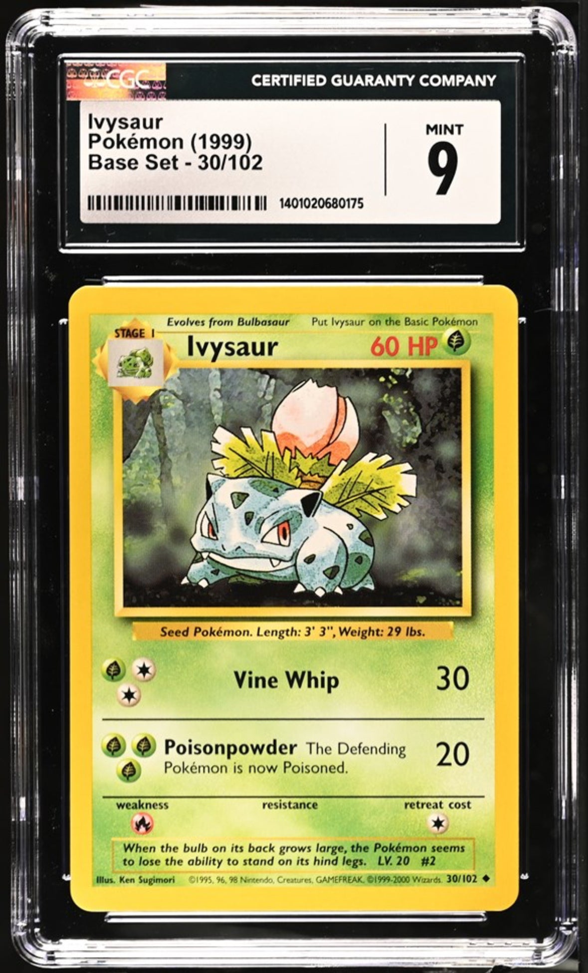 Graded Cards
