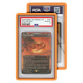 Standard Graded Guards (PSA)