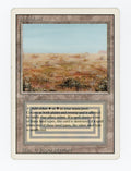 Scrubland — ID 17806