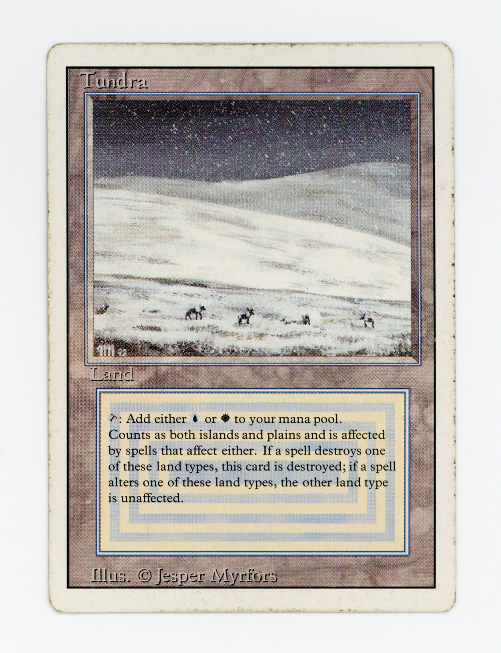 Tundra — ID 17096