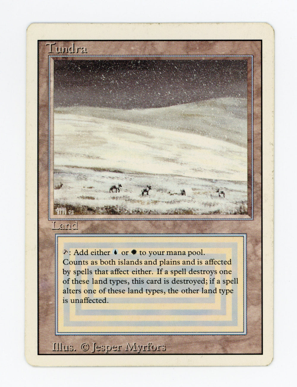 Tundra — ID 17097
