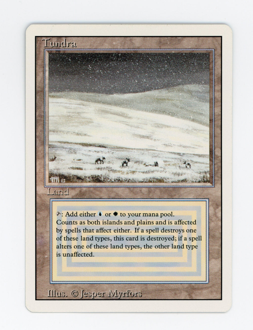 Tundra — ID 17707