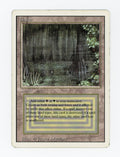 Bayou — ID 17578