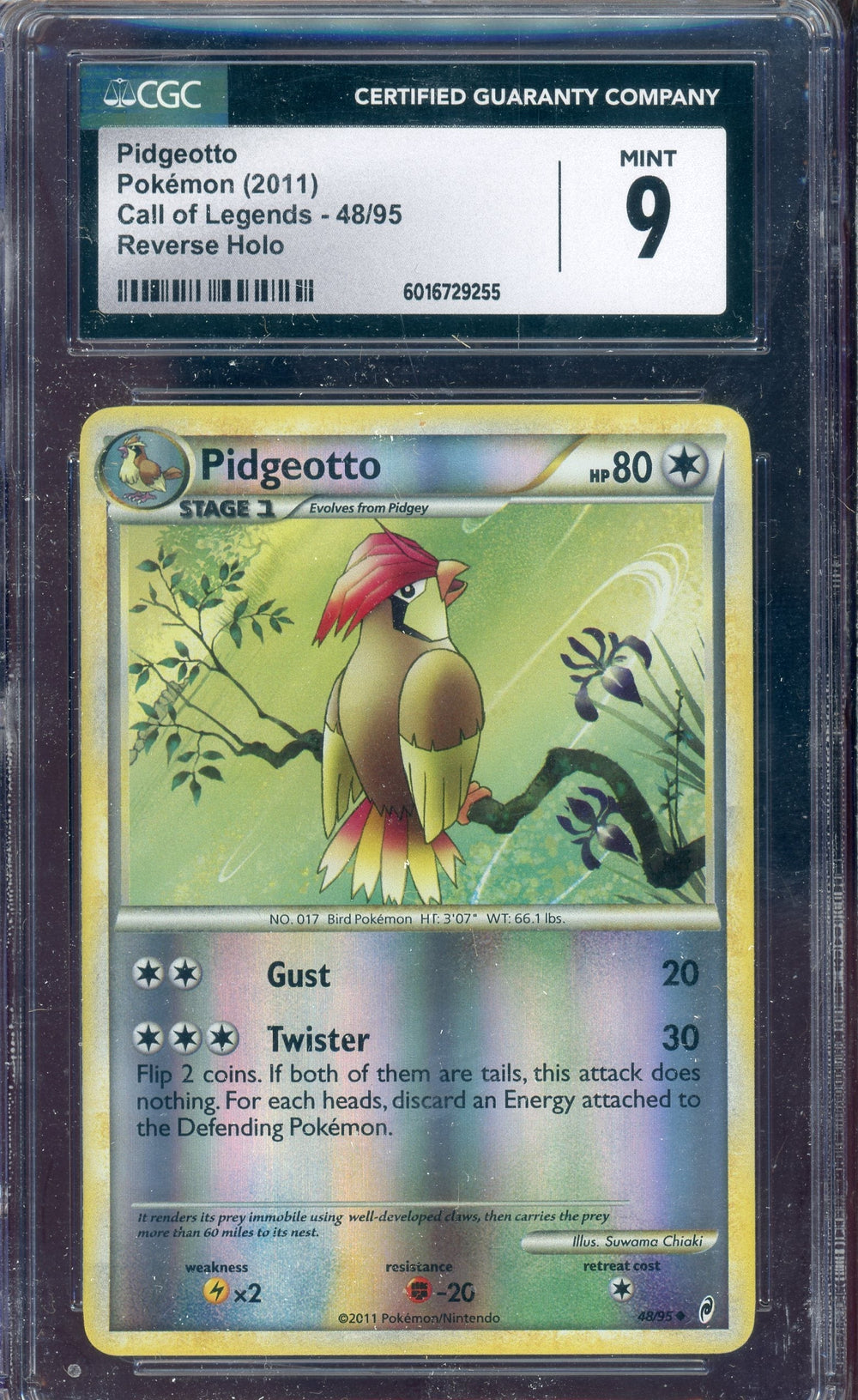 CGC 9 PIDGEOTTO REVERSE HOLO