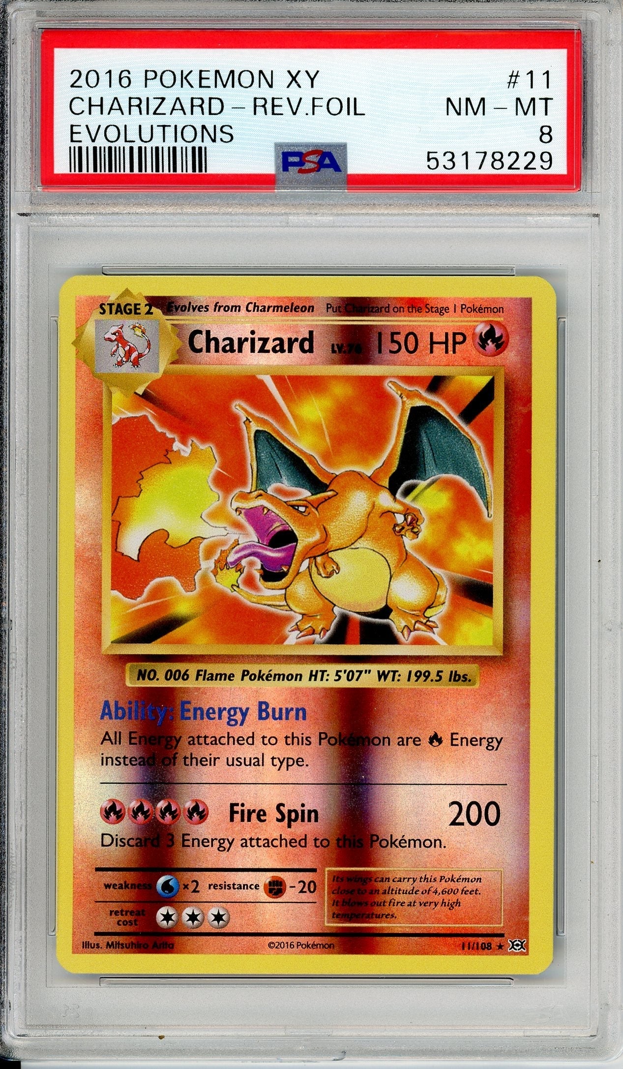Graded Cards